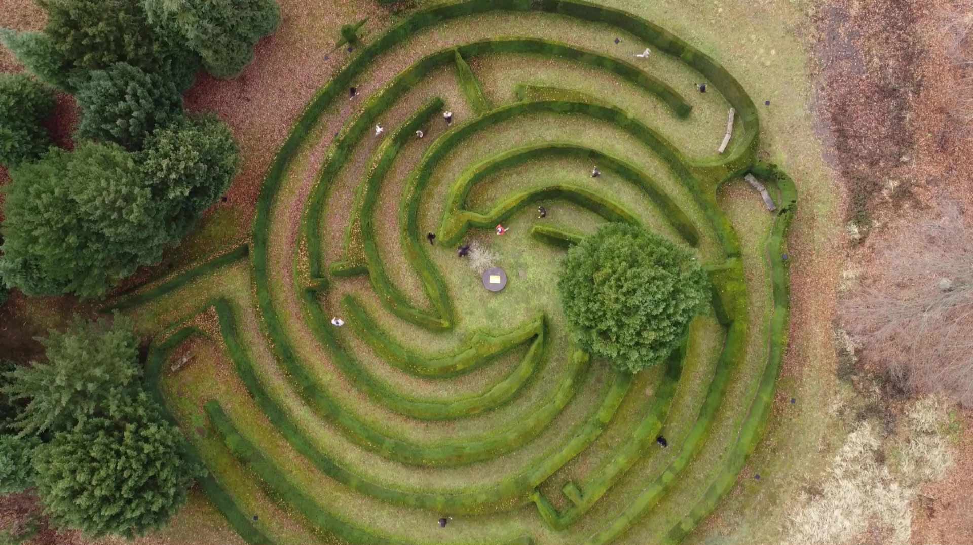 Mein-Weg-ist-ein-Labyrinth_Screenshot_HD